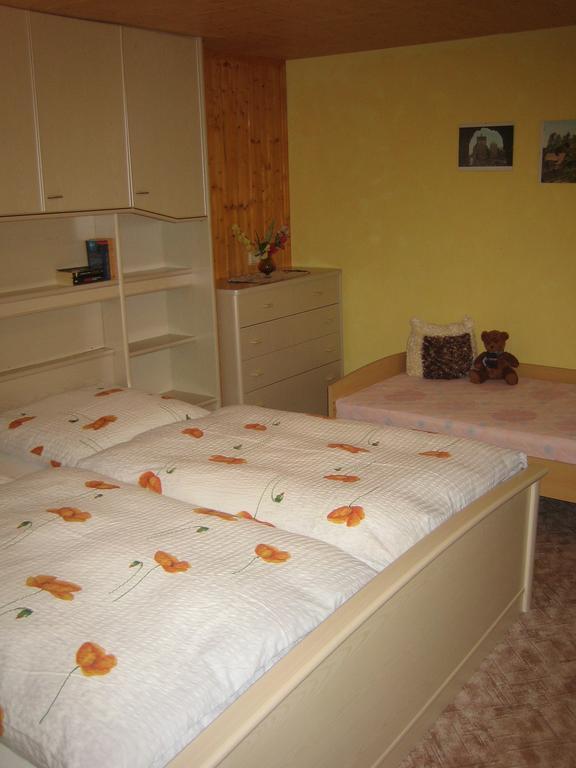 Apartment Schlafwandler Steinigtwolmsdorf Ruang foto
